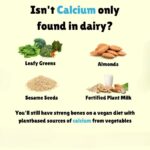 Isn’t Calcium Only Found in Dairy?