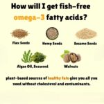 A Guide to Fish-Free Omega-3 Fatty Acids