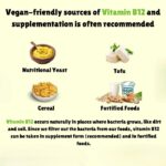 Vegan-Friendly Sources of Vitamin B12 (And Why You Might Need a Supplement!)